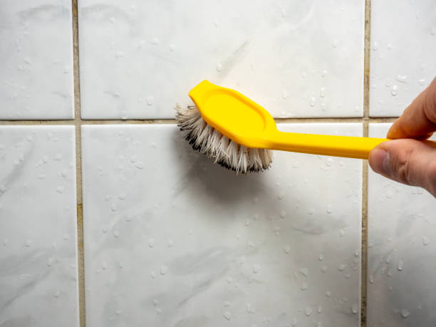 Best Emergency Mold Removal  in Raven, VA