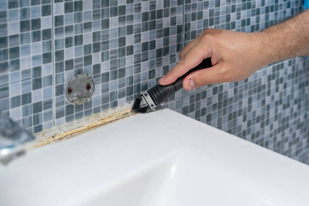 Best Professional Mold Removal  in Raven, VA