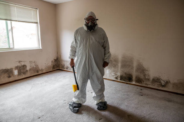 Best Mold Removal and Inspection  in Raven, VA